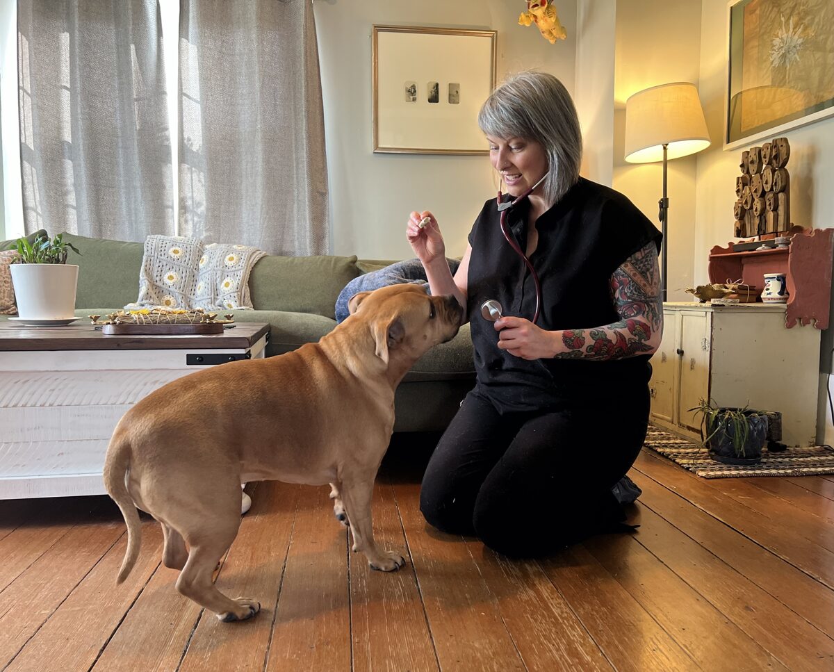 Dr. Schofield gets her fearful dog, Ruby, familiar with the stethascope by pairing it with treats.